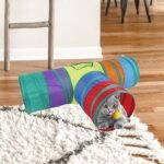 Bunter Katzentunnel mit drei Ausgängen auf einem Teppich im Wohnzimmer mit einer Katze darin