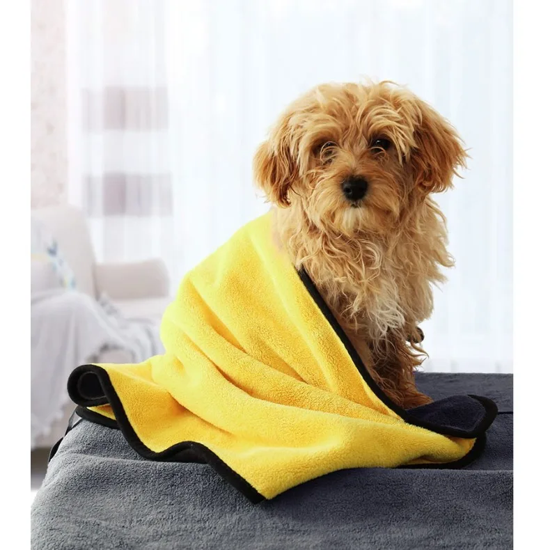 Hund in das Mikrofaserhandtuch gewickelt auf einem Sofa zu Hause
