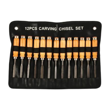 Wood Carving Set with 12 Pieces for Precise Wood Carving Work and Compact Storage in Black Case