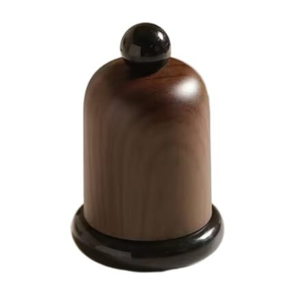 Toothpick Holder with Lid and Wood Structure