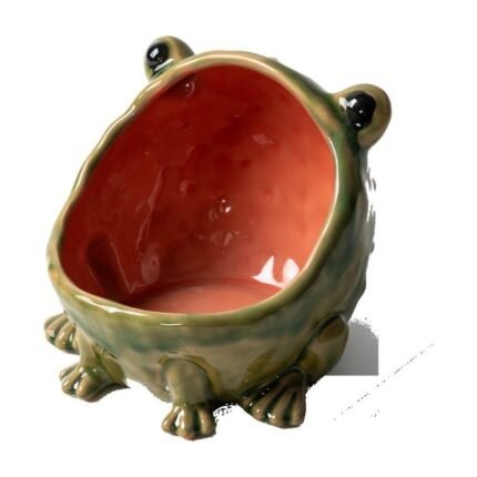 Ceramic bowl shaped like a frog with an open mouth